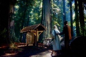 what if the redwoods ate Jimmy Stewart?