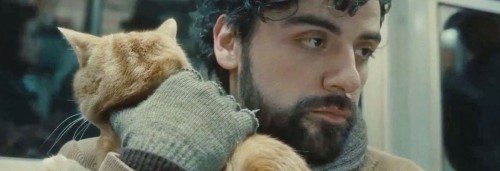 inside llewyn davis cat