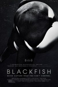 BLACKFISH-poster