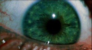 There's this great sequence of Sally's eye in super macro, with the green hyper-saturated. 