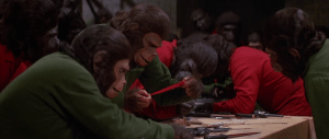 The apes plot and collect sharp objects