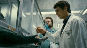 The scientists give a cookie to an ape prisoner