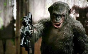 Never give an ape a gun, you fools! 