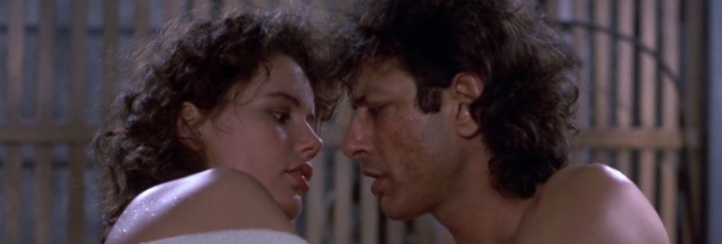 The Fly Cronenberg S Romance In Gloop Stand By For Mind Control