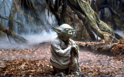 The real Yoda