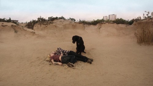 Dog observes make-out session.