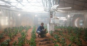 The Martian: a grand space adventure mostly about counting potatoes. 