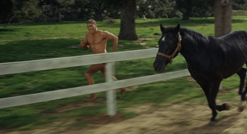 Did I fail to mention the scene where he races a horse?